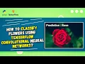 TensorFlow CNN Tutorial Flower Classification with Python