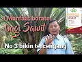 Lagu 4 Manfaat pupuk borate untuk kelapa sawit dan dosis rekomendasi