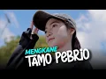 Download Lagu DJ TAME PEBRIO JEDAG JEDUG KOPLO VIRAL TIKTOK