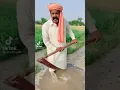 Download Lagu chadha ki hal ai tera dhooran put dhuran