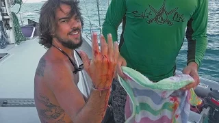 Barracuda Attacks Brady- Sailing SV Delos Ep. 85