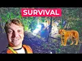 Lagu SURVIVING A Night In The Jungle (Rainforest Challenge Malaysia 2025)