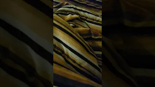 كذاب قلبك مايحب كذاب 