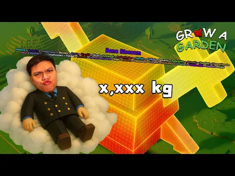 Video Thumbnail: ให้ทาย ... โบนบลอสซั่ม ลูกนี้กี่พันโล? l Grow a Garden Roblox
