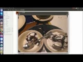 Compress and Optimize Images in PHP - Tinypng API