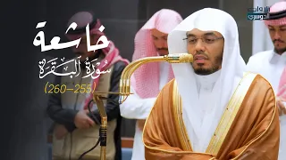 تلاوة خاشعة من سورة البقرة للشيخ د  ياسر الدوسري   عشاء الأربعاء          ه  دندنها