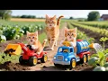Download Lagu Mama Cat Trims Fur on the Farm and Makes Tiger Hat For Kittens At Home🐾🎩🐯