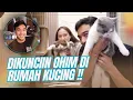 Download Lagu AKHIRNYA JADI! RUMAH KUCING IMPIAN SALSHA \u0026 OHIM