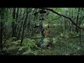 Mathews V3 27 Bow Setup