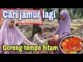 Download Lagu CARI JAMUR LAGI ALLAH BERKATA LAIN⁉️ KITA GANTI GORENG TEMPE DAN SAMBAL BELACAN TRASI