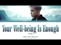 菲道尔 Firdhaus《你好, 就足矣 Your Well-being Is Enough》【Chi/Pin/Eng Colorcoded Lyrics】