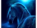 Chinese Astrology Water Horse