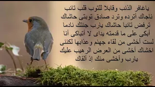 دعاء يا غافر الذنب دندنها