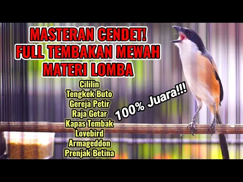 Download MP3 MASTERAN CENDET GACOR TEMBAKAN MATERI LOMBA TERBAIK SEPANJANG MASA