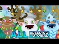 HOW TO BREED Yool Epic Yool Rare Yool 100 My Singing Monsters