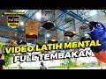 Download Lagu Simulasi Lomba Murai Batu FULL TEMBAKAN!! PUTAR SEBELUM BERLOMBA