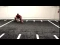 Monkey Crawl