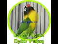Download Lagu MASTERAN MINOR SUARA WALET