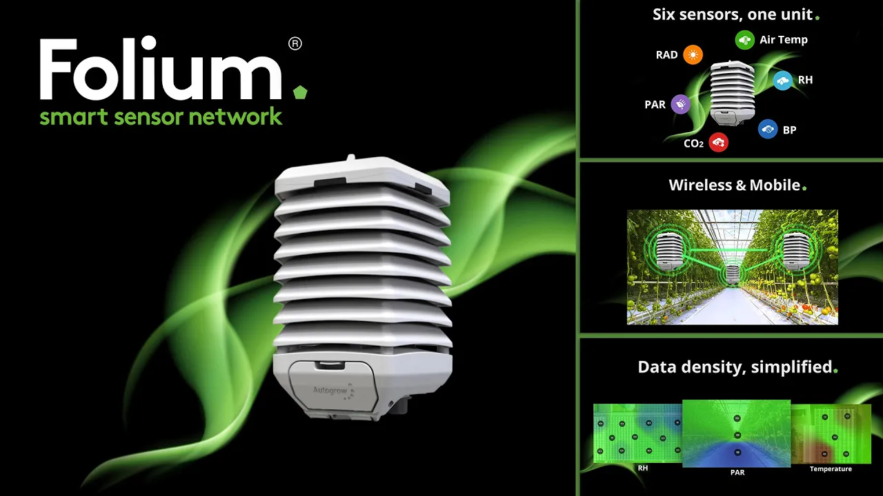 Folium UI motion graphics video