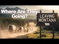 Download Lagu 36,000 People LEFT Montana-Here's Where They Went