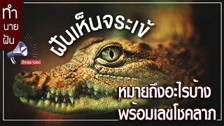ทำนายฝัน ฝันเห็น จระเข้ ทำนายความฝันตำราโบราณและตีเลขเด็ดจากความฝัน