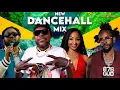 Download Lagu NEW DANCEHALL MIX 2025. VYBZ KARTEL. SHENSEEA. SKILLIBENG. POPCAAN. TOMMY LEE. KRAFF. MOLIY. SKENG
