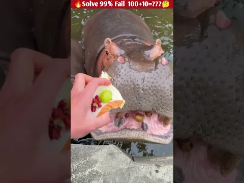 i feeding this hippo