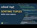 Python Programming Sinhala 8