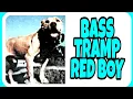 Pitbull - Bass Tramp Red Boy