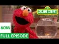 Download Lagu Elmo and Friends Find the Best Pet | Sesame Street Full Episode
