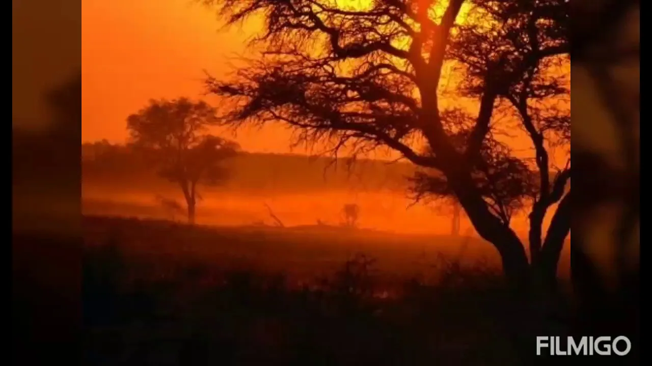 Appel - Kalahari Kalahari roep my nou Appel - Kalahari Kalahari roep my nou