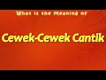 Download Lagu What is the Meaning of Cewek Cewek Cantik