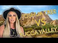 Living In Joshua Tree VS Living In Yucca Valley