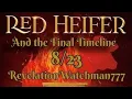 RED HEIFER SACRIFICE DATE REVEALED AND FITS INTO THE FINAL TIMELINE
