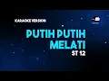 Download Lagu ST 12 - Putih Putih Melati (Karaoke Version)