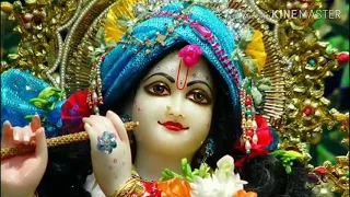 mera hath pakad le re kanha maan mere gabray krishan bhajan