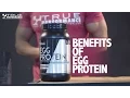 Benefits of Egg Protein Powder