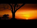 118   WHEN YOU'RE GONE   MAGGIE MACNEAL