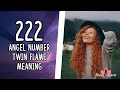 222 Angel Number Twin Flame Meaning