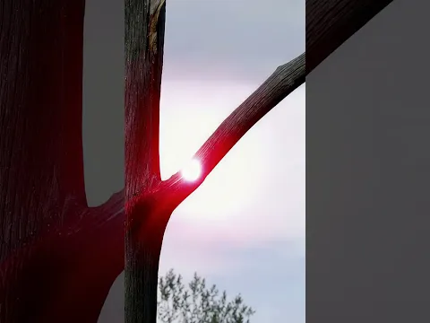 Remote high energy lasers make branch processing effortless and safe