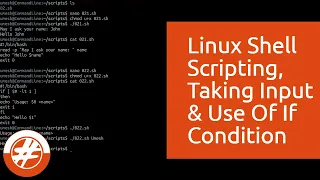 022 - Shell Scripting How To Take Inputs And Use Conditions