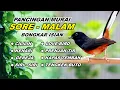 Download Lagu 🔴 LIVE 66 - Pancingan Murai Batu Pagi Hari Full Isian Tembakan Kasar, Murai Macet Pasti Nyaut