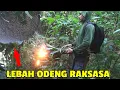 Lagu PANEN MADU ODENG RAKSASA versi MAS DUL -  honey harvest of giant forest bees