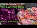 Goodwill Outlet Bins Thrift Haul - Lake Worth