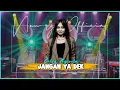 Download Lagu Selvi Ayunda - Jangan Ya Dek (Official Live Music Video) | New RGS