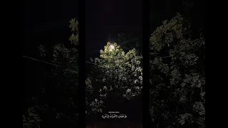 وخشعت الاصوات للرحمن حسين العزام سورة طه Hussein Alazzam 