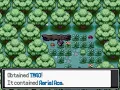 Pokemon Reborn TM LOCATIONS Guide