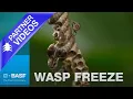 Wasp Freeze - Wasp Hornet Killer Aerosol Spray