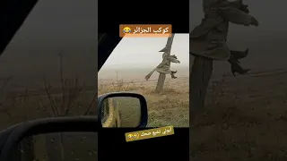 تشبع ضحك مع الشعب الجزائري Shorts Funny Funnyvideo 