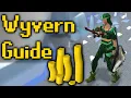 Skeletal Wyverns Safespot Guide